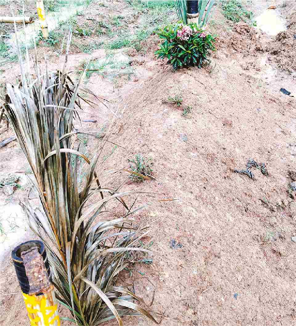 Image of মো: ইমন